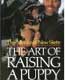 The Art of Raising a Puppy