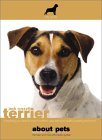 Jack Russells Terrier