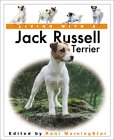 Living With a Jack Russell Terrier