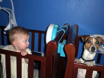 Mom make him stop looking at me. - Click to view the results of contest 283!