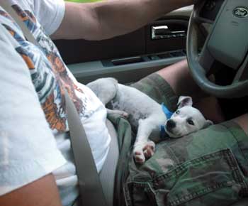 Bob always carries a spare tire and a Jack in the car. - Click to view the results of contest 326!