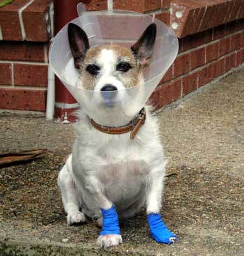 The dreaded cone of 