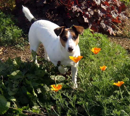 Click for Next Picture