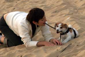 Online Terrier Boutique