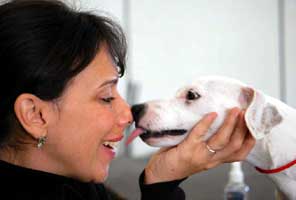 Register Your Terrier