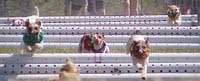 Jumping Over Hurdles