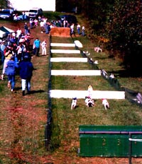 Race Course with Hurdles