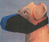 Softie Muzzle