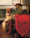 Inside Information Christmas Cards is $15.00