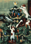 Tis the Season Christmas Cards is $15.00