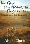 We Give Our Hearts to Dogs to Tear is $34.95