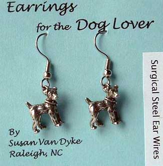 JR Earrings by Susan Van Dyke