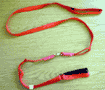 Swivel Flexi Lead is $20.00