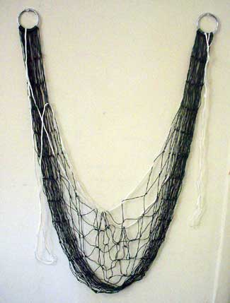Fox Nets