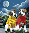 Moon Phase Garden Flag is $16.00