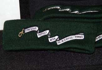 Ear Warmer