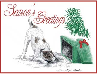 Seasons Greetings Christmas Cards