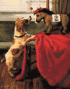 Inside Information Christmas Cards is $15.00
