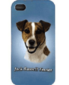iPhone Case is $15.00