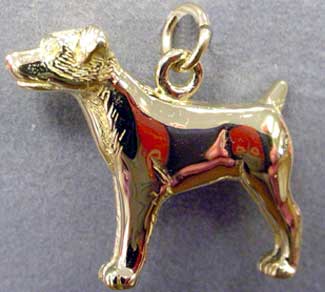 JRT Gold Charm