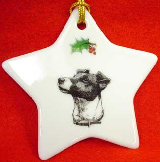 JRT Star Christmas Ornament