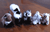 Mini Finger Puppets is $6.00