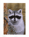 Wild Neighbor Note Card Set is $10.00