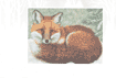 First Winter II Note Card Set is $17.50