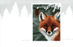 Woodland Prince II Christmas Cards is $17.50