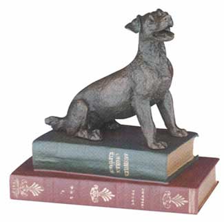 JRT on Books