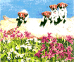 Peering Puppies Note Cards is $5.00