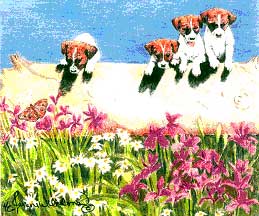Peering Puppies Print