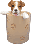 JR Pencil Cup is $12.00