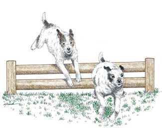Racing Note Cards