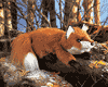 Small Red Fox Hand Puppet is $20.00