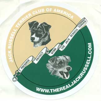 Logo Sticker: Website