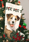 JR Christmas Stocking #2 is $22.00