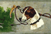 Fox & Hound Wallpaper Border is $12.50