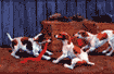 Jack Russell Wallpaper Border is $12.50