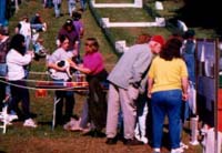 Collars placed on terriers before a race