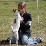 Jack Russell Terrier Youth