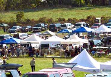 Jack Russell Terrier Trials