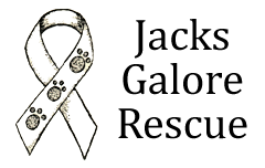 Jacks Galore, Inc.