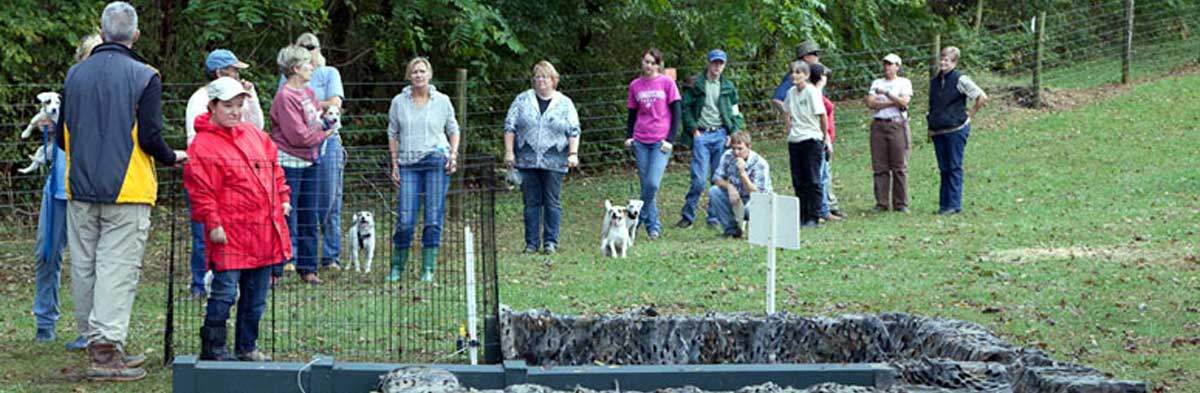 Jack Russell Terrier Super Earth