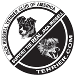 Apoie o verdadeiro Jack Russell Terrier