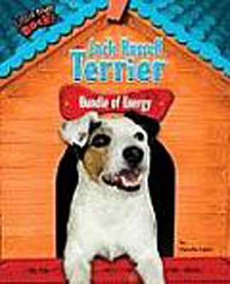 Jack Russell Terrier - Bundle of Energy is $12.00