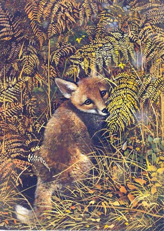 Fox in Bush Note Card