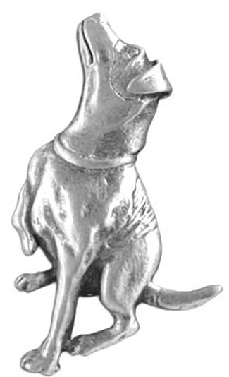 Looking Up Dog Pin