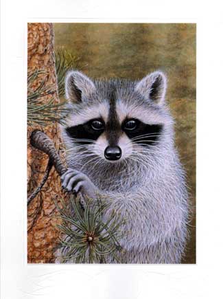 Wild Neighbor Note Card Set is $5.00